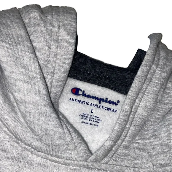 Gray champion hoodie, size L - Picture 3 of 9